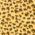 Leopardo